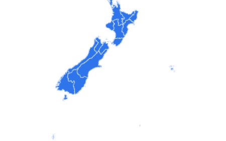 Unlock Business Opportunities with New Zealand Import Data