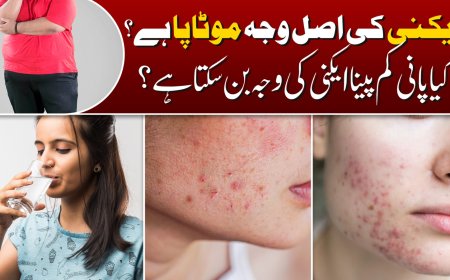 Named Collective | Named Collective Hoodie | Worldwide Clothing