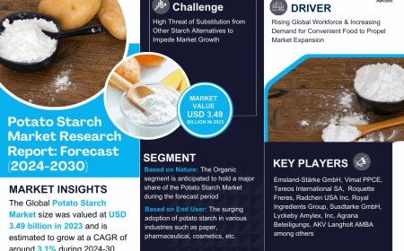 Potato Starch Market to Witness 3.1% CAGR Growth Amid Rising Demand and Innovation