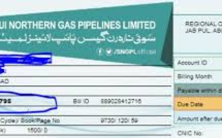Easy Way to Check Your Sui Gas Bill Online in Pakistan
