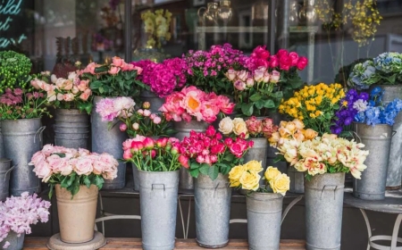 Mark Life's Little Moments with Single Pink Rose with Flowers Mart