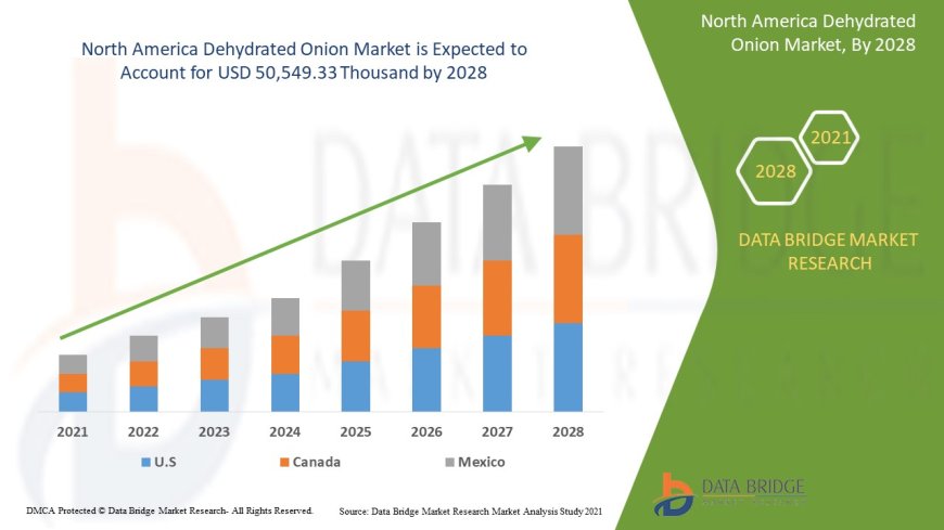 North America Dehydrated Onion Market Forecast to 2028: Key Players, Growth, Trends and Opportunities