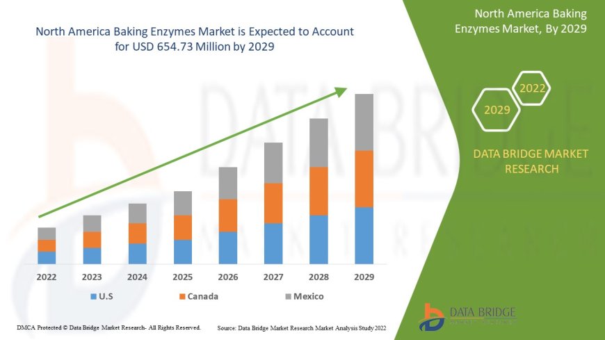 North America Baking Enzymes Market Rises with Demand for Clean Label and Process Efficiency