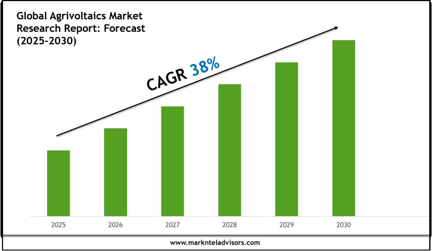 Agrivoltaics Market Forecast: Growth Drivers & Outlook to 2030