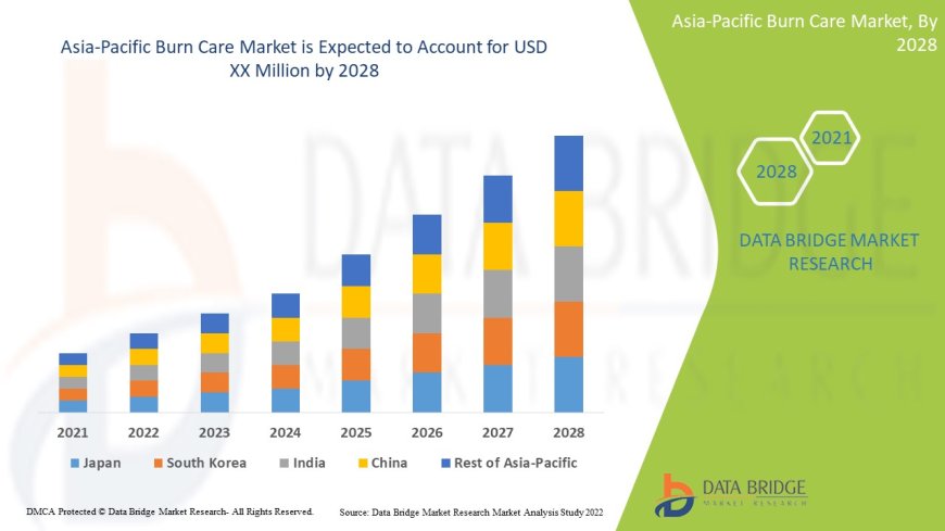 Asia-Pacific Burn Care Market Demand: Growth, Share, Value, Size, and Insights