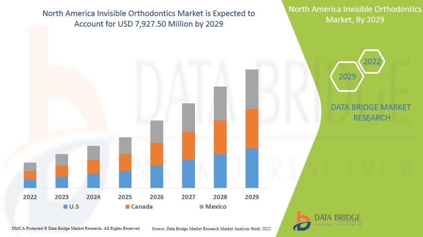 North America Invisible Orthodontics Market Industry Statistics: Growth, Share, Value, and Trends