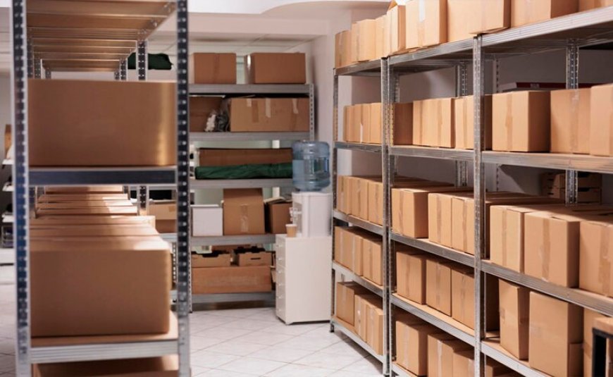 TMS Company Provides the Best Services To Ease The Stress Of Moving