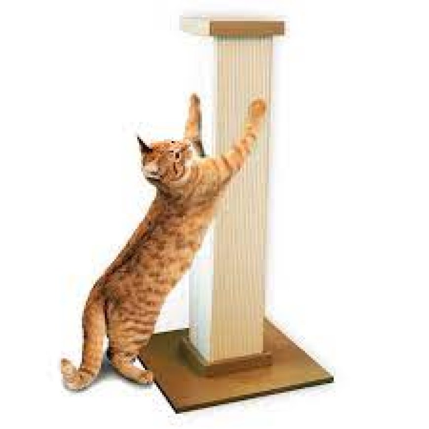 Why Every U.S. Cat Owner Needs a High-Quality Cat Scratching Mat
