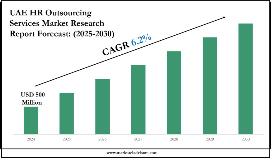 UAE HR Outsourcing Services Market Report 2025–2030: Demand, Value & Share Outlook