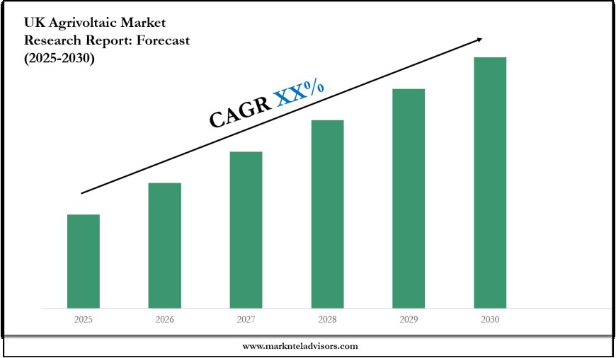 Strategic Insights on UK Agrivoltaic Market: Forecast, Size & Trends