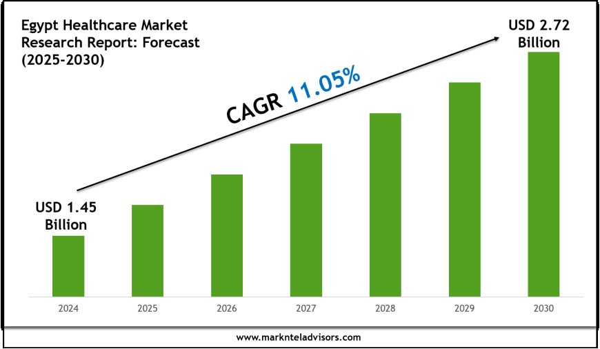 2025–2030 Egypt Healthcare Market Snapshot: Growth, Value & Forecast