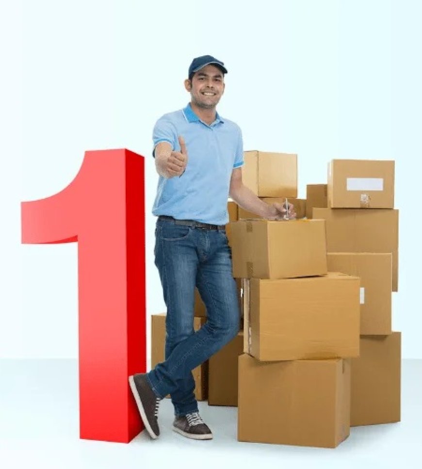Best Rates for Packers and Movers in Jodhpur