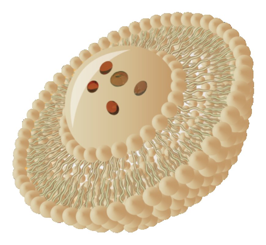 Top Liposomal Curcumin Manufacturers You Need to Partner With Now