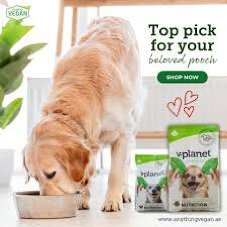 Best Dry dog food for skin allergies and yeast infections