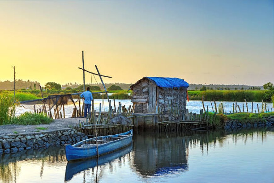 Kerala Tour Packages under 10000: Backwaters & Hills on a Budget