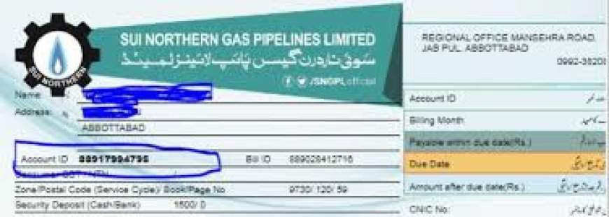 Easy Way to Check Your Sui Gas Bill Online in Pakistan